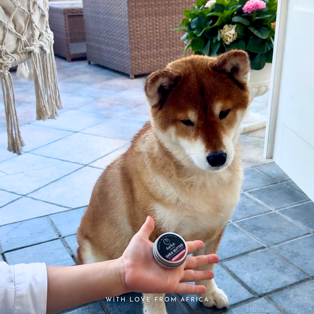 Is Shea Butter Safe for Cats and Dogs?