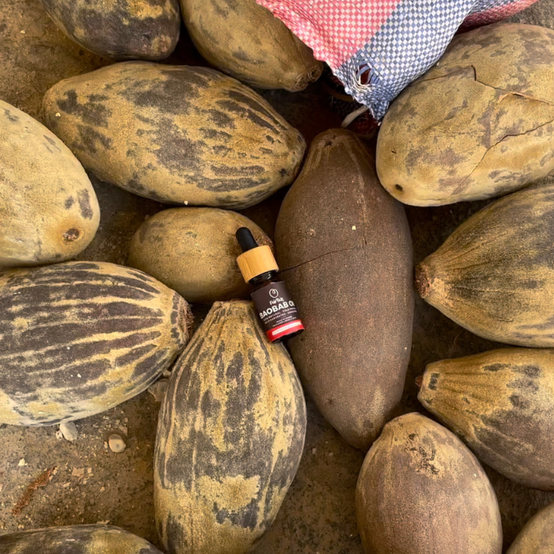 Graphic showing FairTale GHANA Baobab oil used as a body oil.