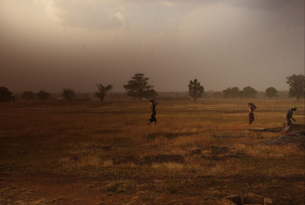 The savannah in northern Ghana where the Shea trees grow